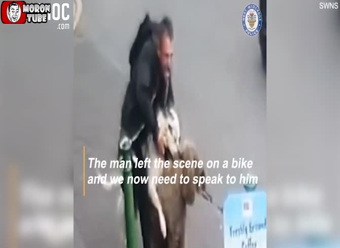 Video :A bull attacks a woman and her dog